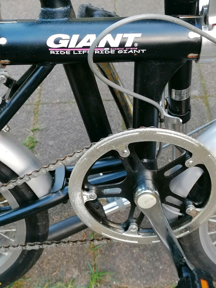 Giant und Yachline, Klapprad, Falt-Rad in 16 zoll in Hamburg