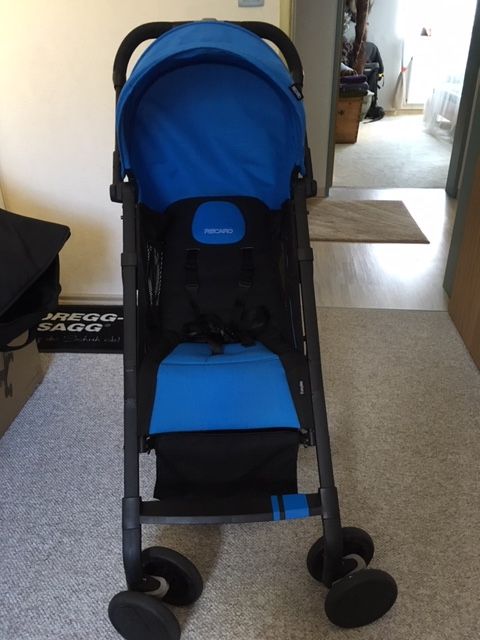 Reacaro Easylife Buggy mit vielen Extras,Super Zustand in Wendelstein