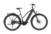 ADVANCED TREKKING Pro Mixed / E-Bike / 750Wh / 85Nm Baden-Württemberg - Hüttlingen Vorschau