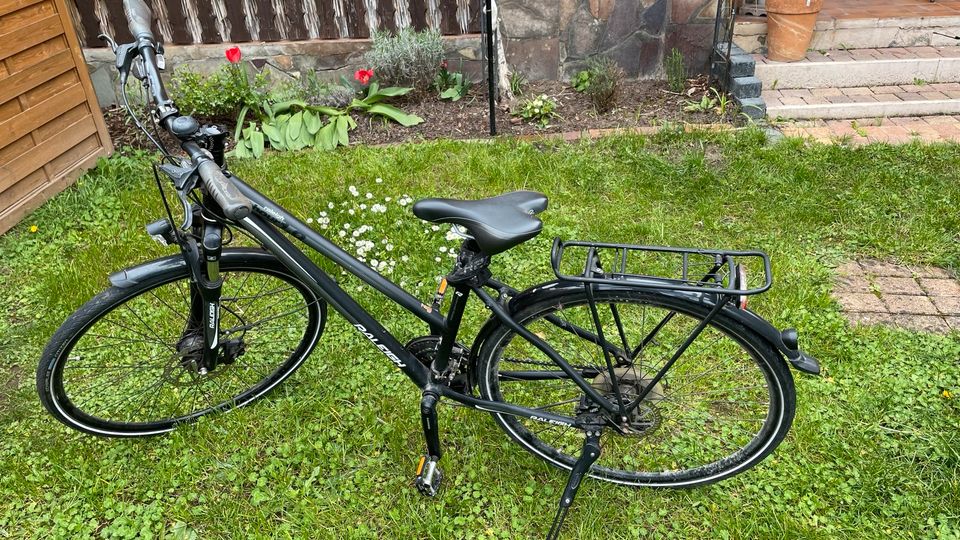 Trekkingrad Relaigh Rushour 1.0 Damen XS in Kahl am Main