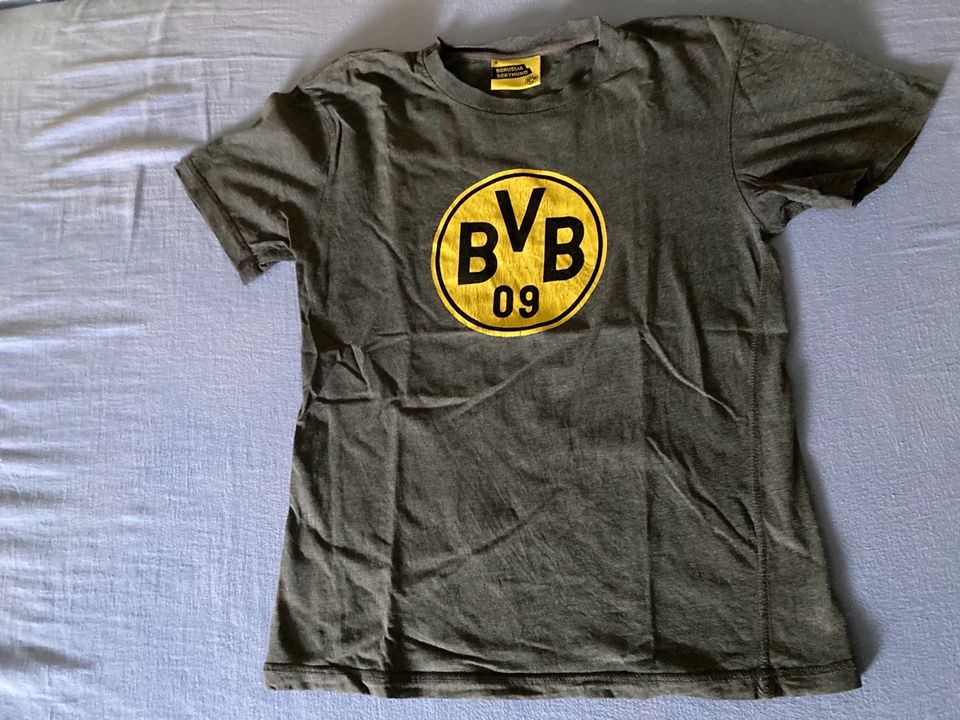 Gebrauchtes BVB T-Shirt Gr. S in Voerde (Niederrhein)