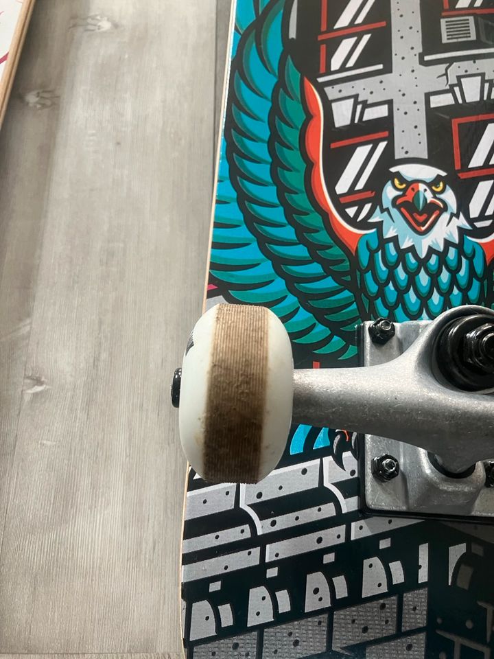 Skateboard/ Longboard in Bad Fallingbostel
