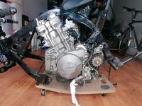 CB 600 F  PC 36 Bj  Getriebe, Kolben Motorrumpf Duisburg - Wehofen Vorschau