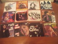 12 versch. orig. gebrauchte SUZI QUATRO Vinyl 7 " Singles Bayern - Augsburg Vorschau