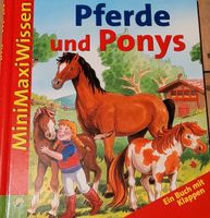 Pferde und Ponys Kinderbuch Niedersachsen - Emden Vorschau