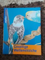 Buch Wellensittiche Kr. München - Taufkirchen Vorschau