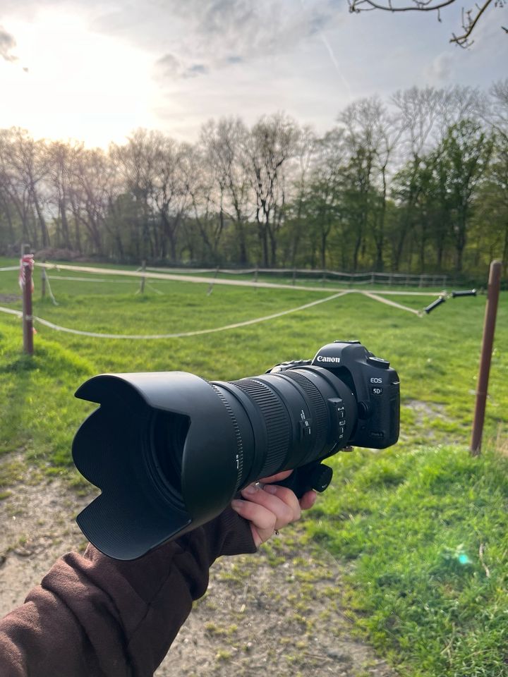 Sigma DG, ef 50-500mm 4,5 f canon wie neu! in Düsseldorf