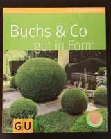 Buchs & Co gut in Form, GU, Buchbaum, Pflege Brandenburg - Großbeeren Vorschau