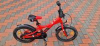 Scool xx lite 16 zoll fahrrad in rot Dithmarschen - Wesselburen Vorschau