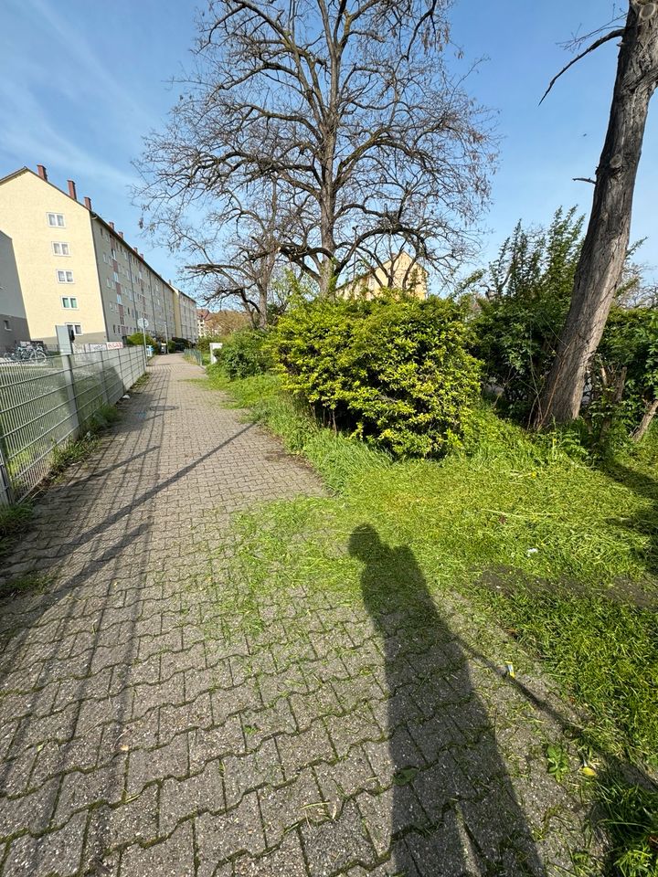 MSM Gartenbau und Reinigungsservice Ludwigshafen Oggersheim in Ludwigshafen