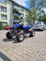 Quad Kawasaki KFX 700 blau + silber marmoriert Hessen - Wiesbaden Vorschau