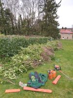 Hecke schneiden , Hecken Rückschnitt. Nordrhein-Westfalen - Porta Westfalica Vorschau