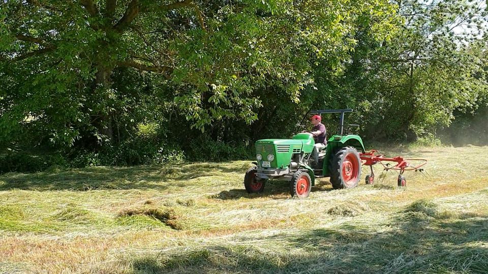 Heu  HD - Ballen in Meisenheim