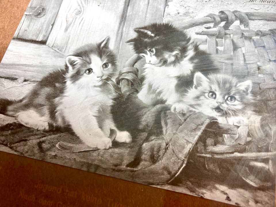 Shabby Vintage-Bilderrahmen braun-schwarz alt Kitten Katzen 25x22 in Köln