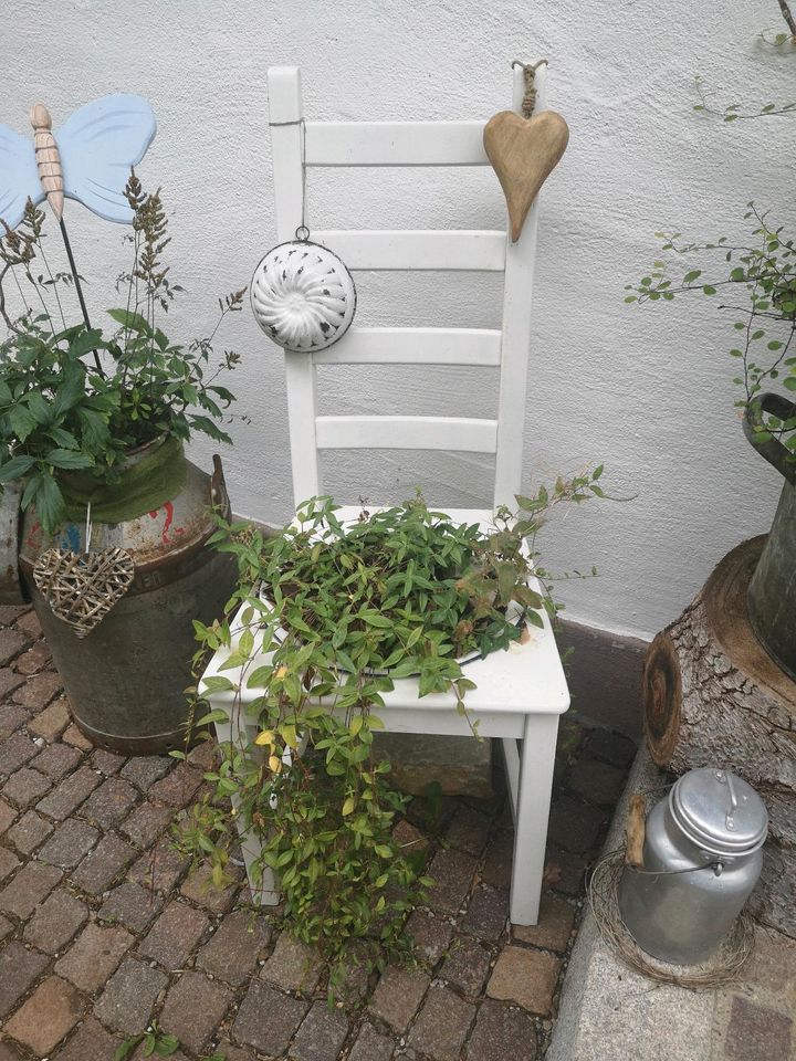 Garten Deko Stuhl alt shabby Bepflanzung Haustüre Landhaus in Buchenberg