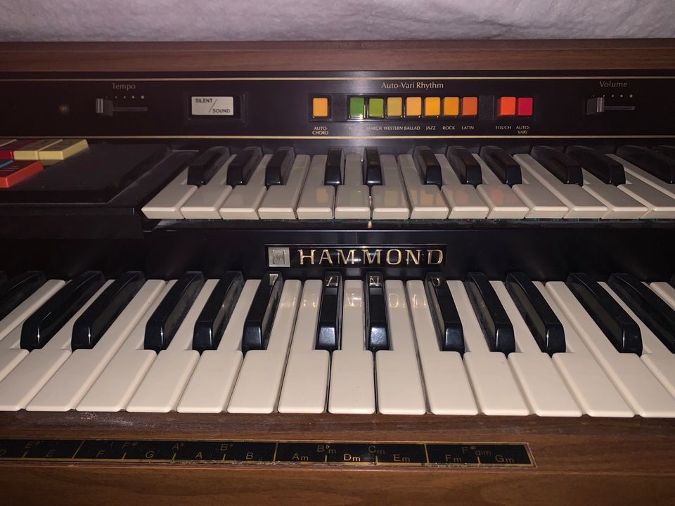 Hammond Orgel 124 JM 2 gut erhalten in Kaltenengers