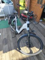 E Bike neu Brandenburg - Nordwestuckermark Vorschau