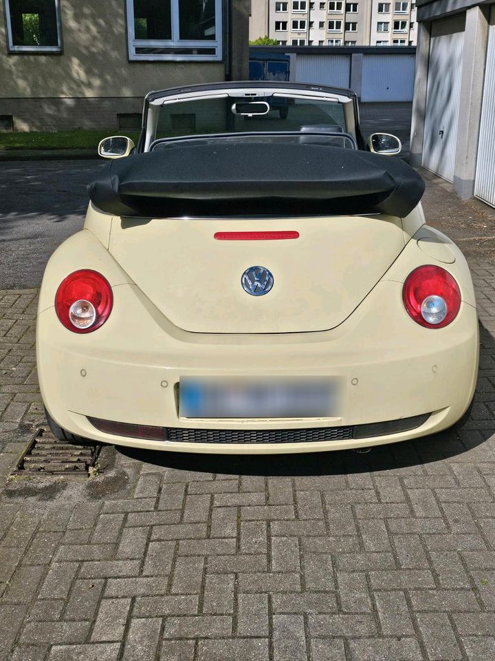 VW Beetle Cabrio in Duisburg