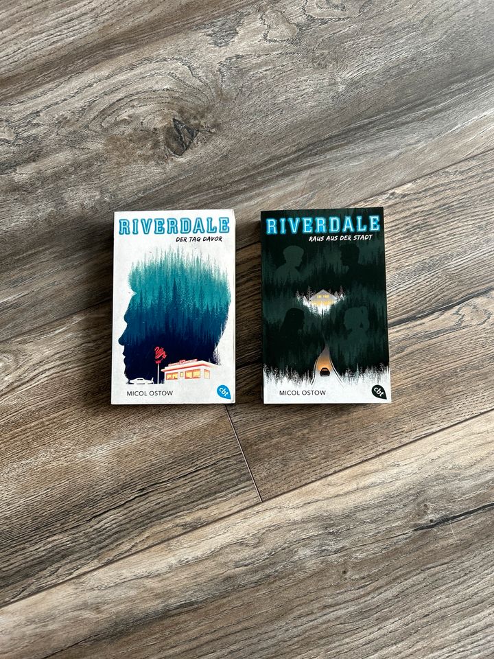 TOP-ZUSTAND ❤️ RIVERDALE Teil 1 + 2 Buch Der Tag davor in Limburg