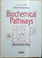 Biochemie Biochemical Pathways Stoffwechsel Medizin Klinik Moleku Baden-Württemberg - Heidelberg Vorschau