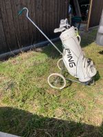 Golftrolly mit ping Golfbag Kr. Altötting - Perach Vorschau