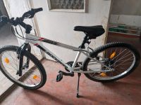 Kinder Fahrrad zu verkaufen Sachsen-Anhalt - Südliches Anhalt Vorschau