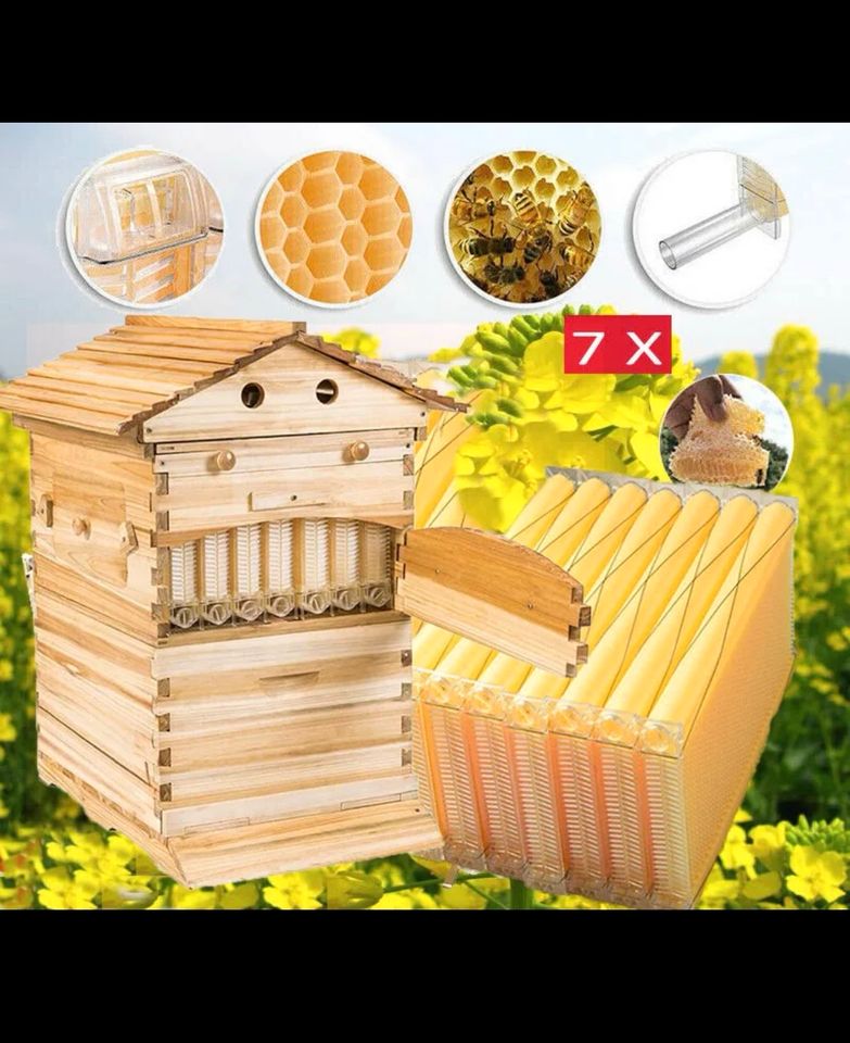 Automatisch Honig produzieren 7x Waben+Zubehör Beschreibung in Edingen-Neckarhausen