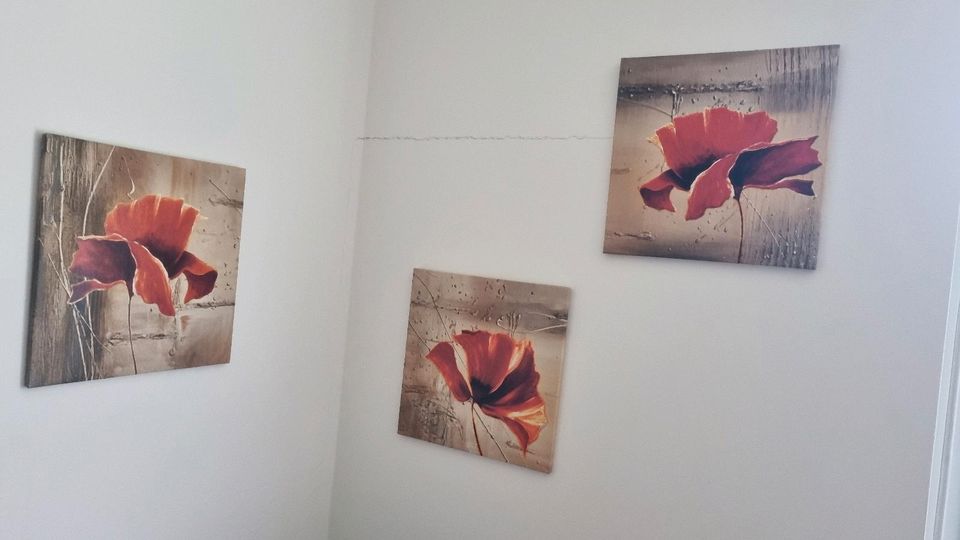 3 Bilder auf Leinwand, Klatschmohn, Wandbild 30x30cm in Köln