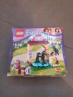 LEGO® Friends 41123 Waschhäuschen für Emmas Fohlen Rheinland-Pfalz - Montabaur Vorschau