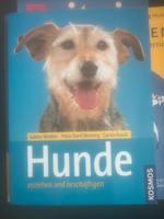 Bücher Hunde Erziehung Hundekekse Niedersachsen - Verden Vorschau