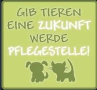 Pflegestelle für Hunde gesucht!! Umkreis von 30km um 49439 Niedersachsen - Steinfeld Vorschau