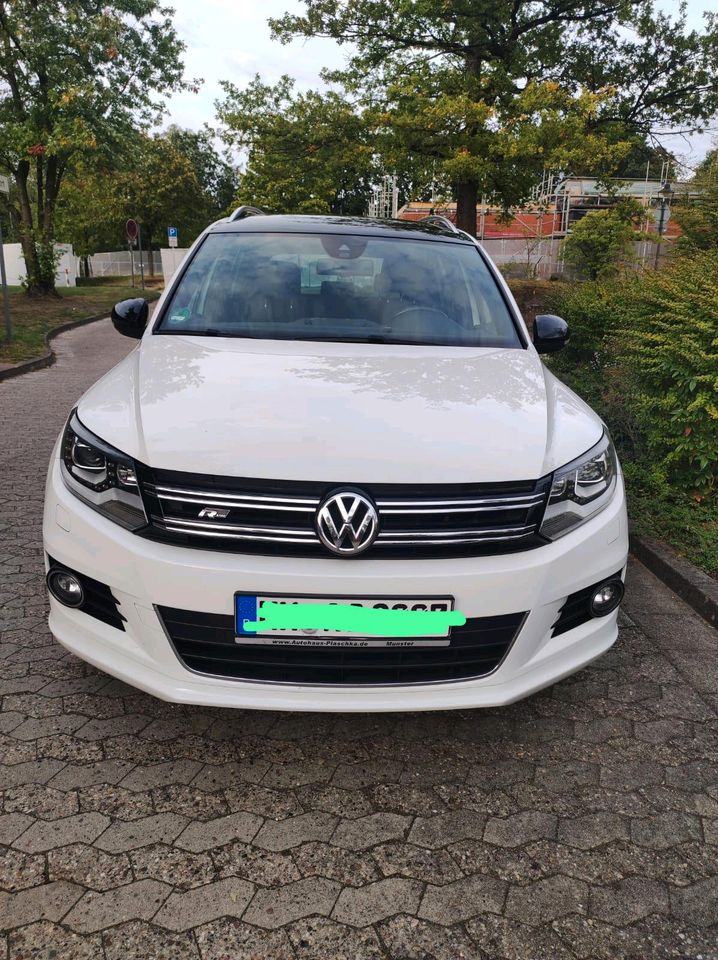 Volkswagen Tiguan 1.4 TSI 90kW BMT CityScape in Soltau