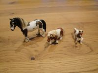 Schleich Tinker Hengst, Shetland Pony, Shetland Fohlen Erlenbach am Main  - Erlenbach Vorschau