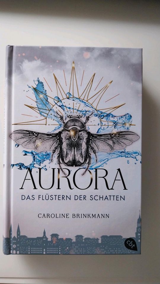 Chest of Fandoms Caroline Brinkmann: Aurora in Nickenich