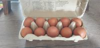Frische Eier Mecklenburg-Vorpommern - Pasewalk Vorschau