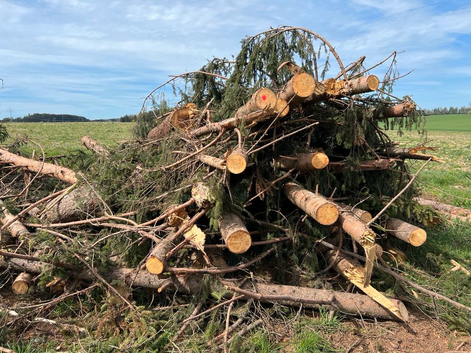 Brennholz Rundholz - zum selber sägen in Vilsbiburg