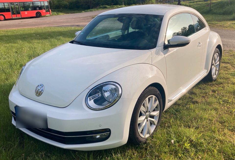 VW Beetle 2.0 TDI in Bruttig-Fankel