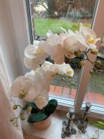 Orchidee Kunstblume QVC weiß mit Porzellantopf, 75cm Gesamthöhe Nordrhein-Westfalen - Selm Vorschau