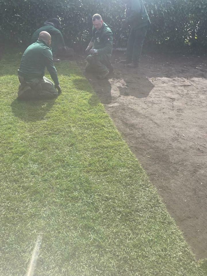 Rollrasen Gärtner Gartenarbeit in Essen