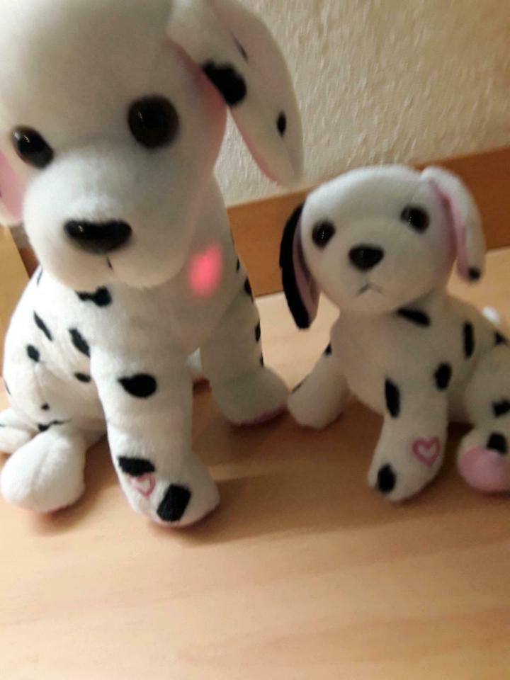 Hunde Mutter mit Kind, bellen,leuchten bei Trennung zusammentreff in Lübeck