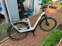 E-Bike Kettler  (Trekking) Quadriga Plus 8 Unisex Wave-L E-City Nordrhein-Westfalen - Herten Vorschau