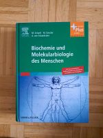 Schartl Gessler Biochemie Molekularbiologie des Menschen Lindenthal - Köln Sülz Vorschau