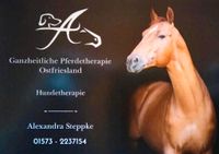 Pferdephysiotherapie /Pferdeosteophatie Niedersachsen - Westerholt Vorschau