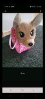 Chi chi Love Hund mit Tasche zu verkaufen Niedersachsen - Wardenburg Vorschau