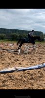 5 jährige Quarterhorse Stute Brandenburg - Friesack Vorschau