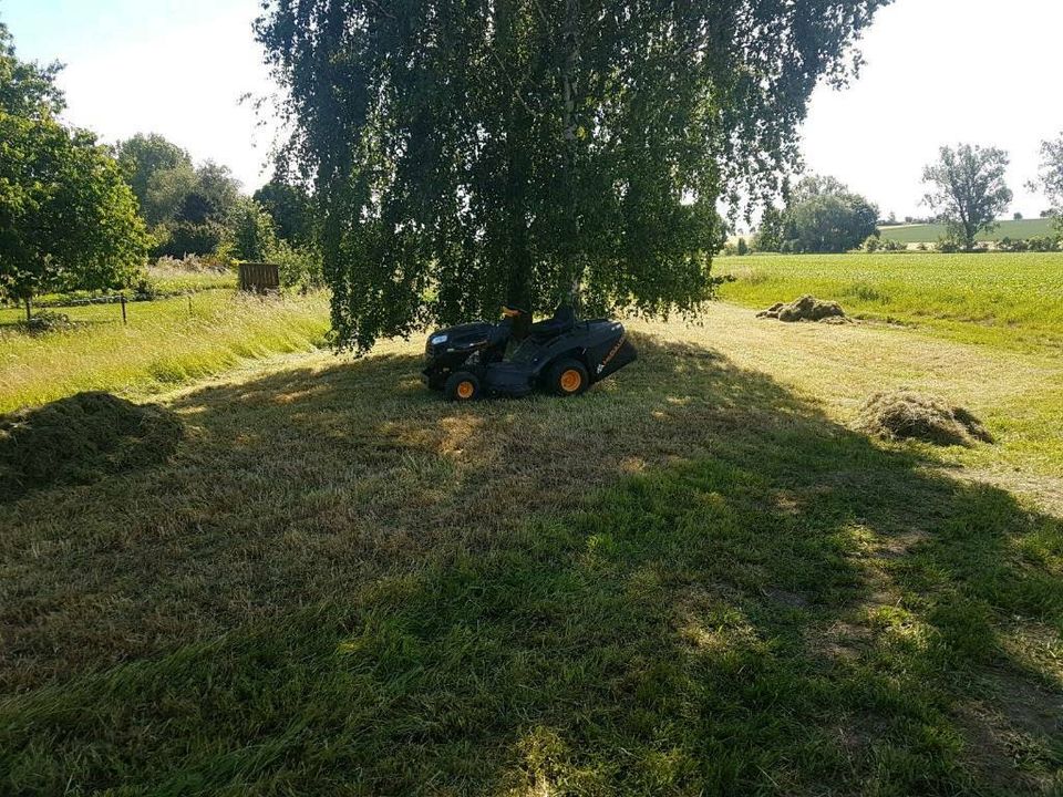 Rasen mähen, Mahd, Grundstückspflege, Mäharbeiten in Oschatz