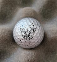 Neuwertiger Vice Silverhills Golfball, limited Edition Kreis Pinneberg - Holm Vorschau