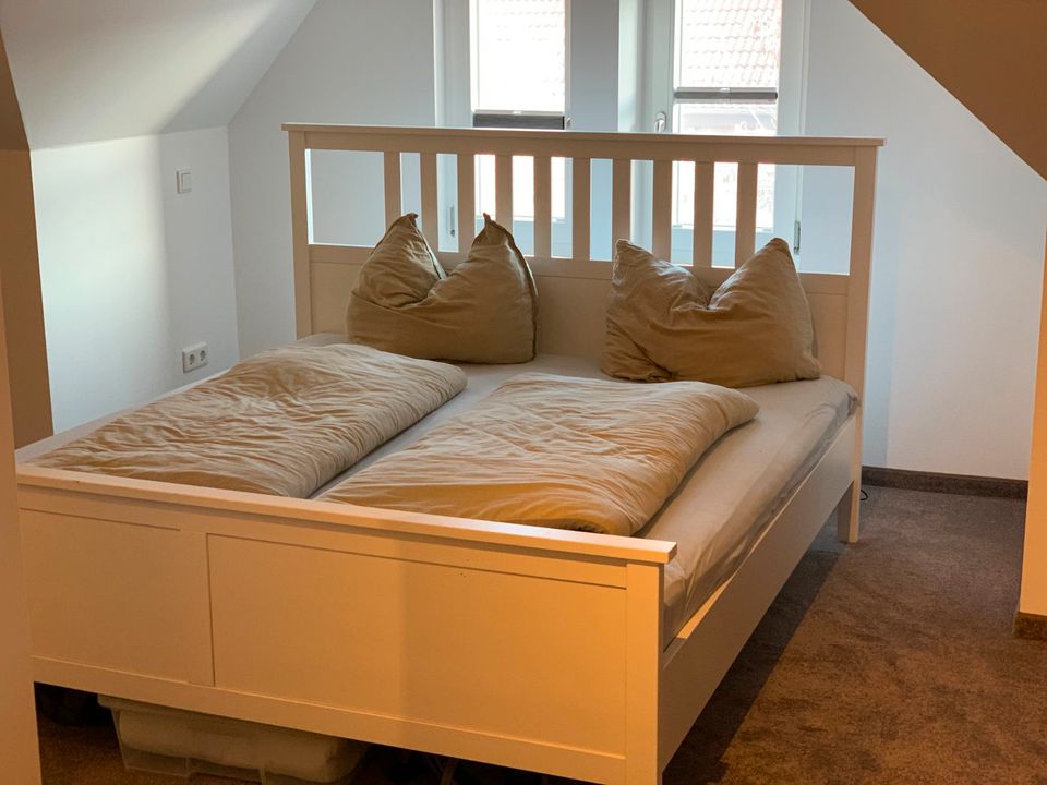 Wohnung 4 Zimmer 113 qm Dachgeschoss mit Balkon und Aufzug in Erfurt