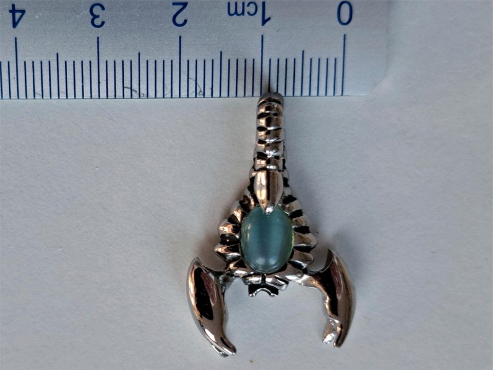 Silberfarben Scorpion mit Halbedelstein in München