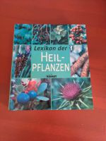 Lexikon der Heilpflanzen von Komet Friedrichshain-Kreuzberg - Friedrichshain Vorschau